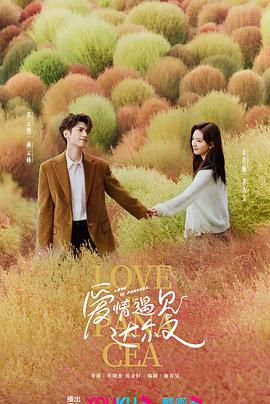 靖江seo外包哪家优惠